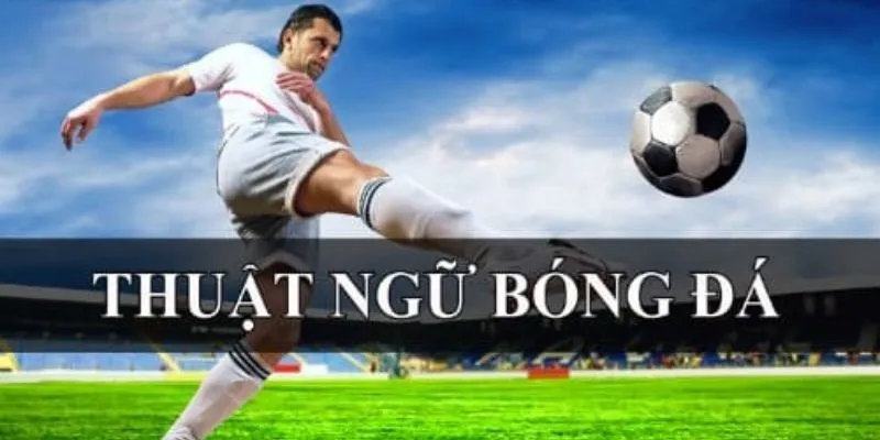 Tổng hợp thuật ngữ cá độ bóng đá được sử dụng nhiều nhất 2 Tìm hiểu lợi ích khi hiểu rõ thuật ngữ cá độ bóng đá