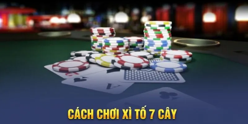 Cách chơi xì tố 7 cây: Mẹo thắng lớn với chiến thuật đơn giản 2 Tìm hiểu cơ bản về xì tố 7 cây