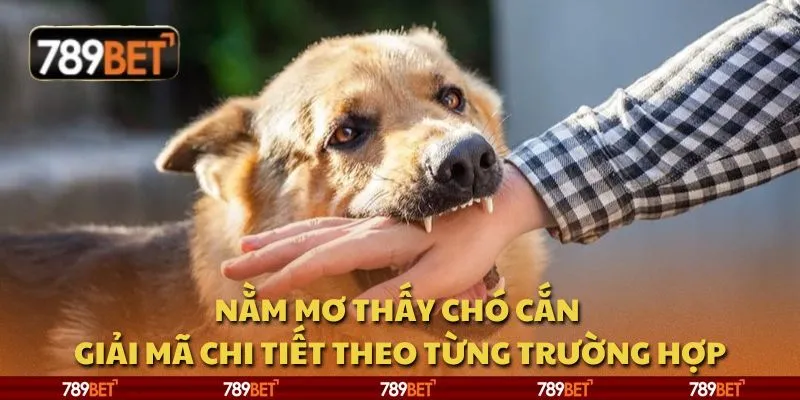 Nằm mơ thấy chó cắn - Giải mã chi tiết theo từng trường hợp 1 Nằm mơ thấy chó cắn - Giải mã chi tiết theo từng trường hợp