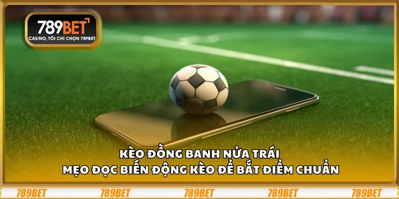 Kèo đồng banh nửa trái: Mẹo đọc biến động kèo để bắt điểm chuẩn 1 Kèo đồng banh nửa trái: Mẹo đọc biến động kèo để bắt điểm chuẩn
